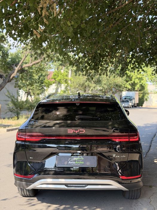 Byd champion Smart