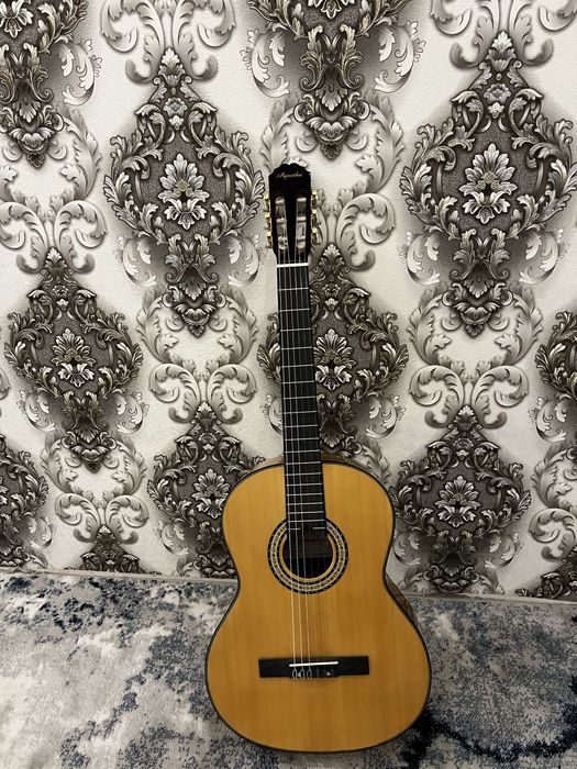 Гитара Agnetha проктически новая