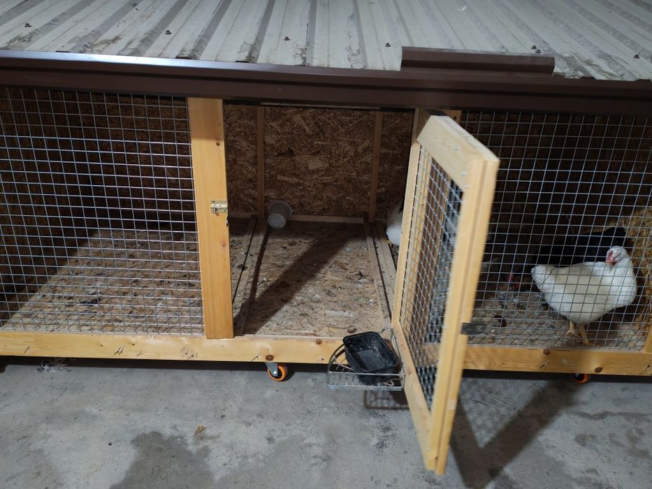 Katakxona quyon tovuq va boshqalar uchun