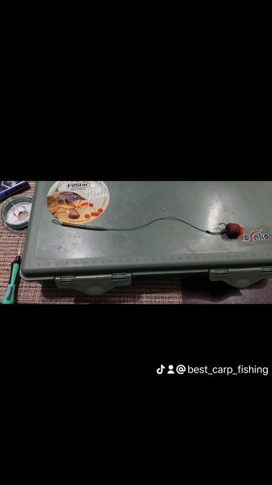 Шаранджийски поводи