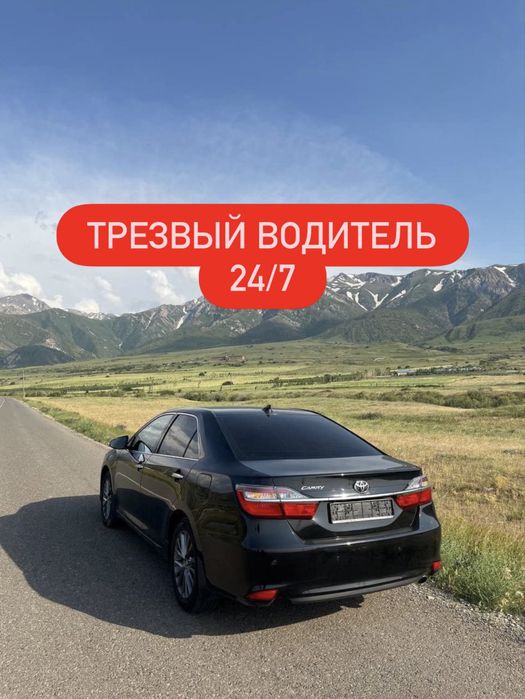 Трезвый водитель