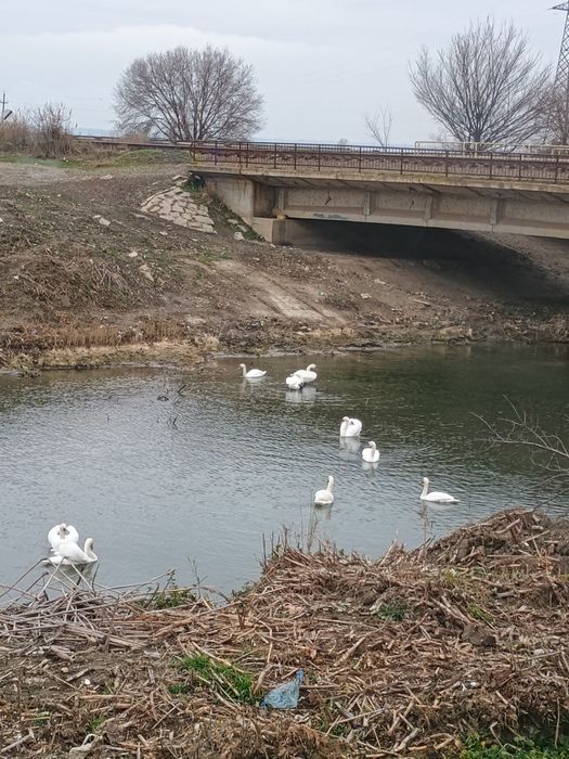 Teren Sat costi 3200 m