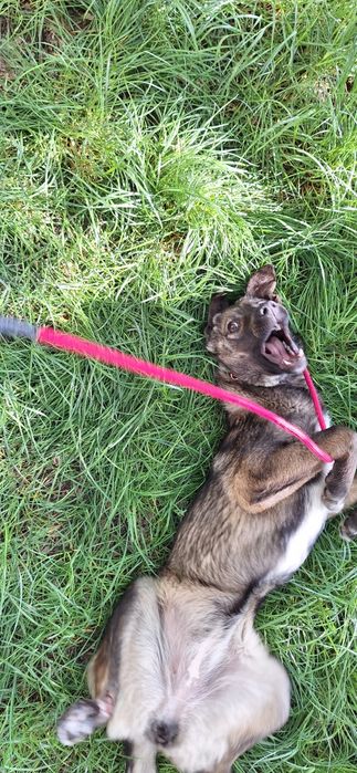 Девочка в ответственные руки