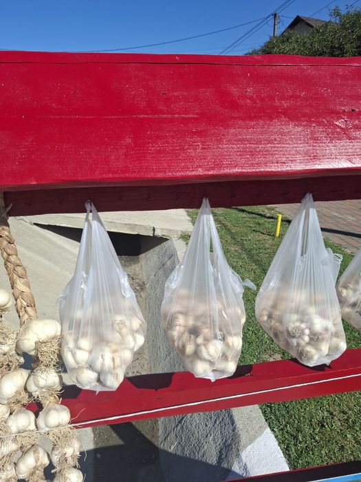 Usturoi Roșu și Alb