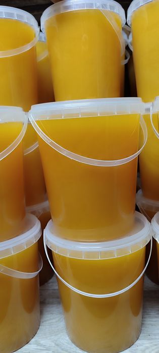 Продам натуральный мед 2026 года