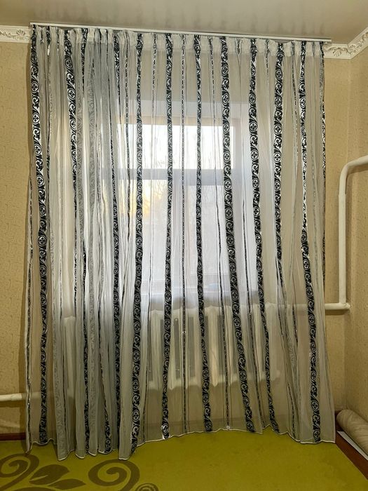 ерін далабы бар порно жұлдыздар