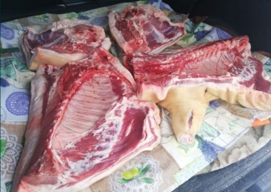 Мясо свинина домашняя