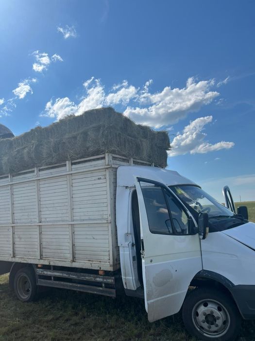 Продам сено тюках