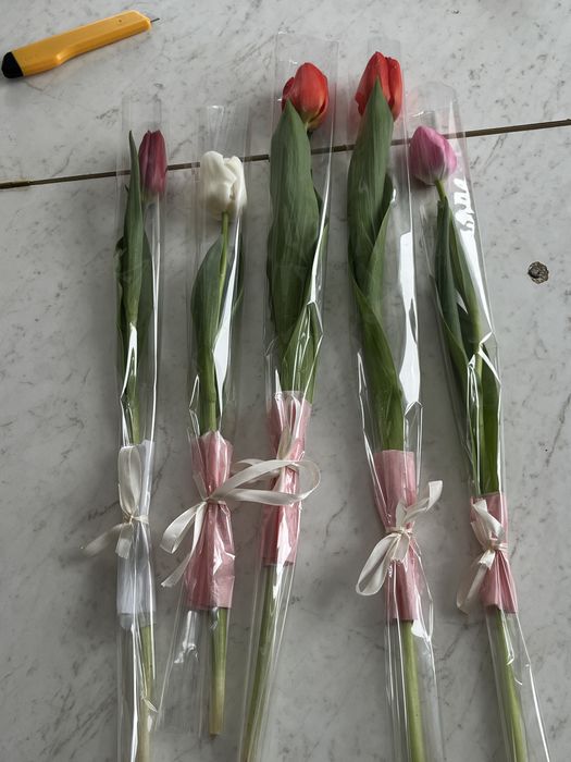 Тюльпаны к 8 марта