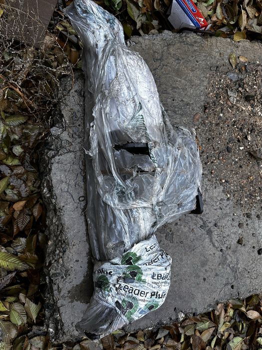 Фаркоп для сангионга