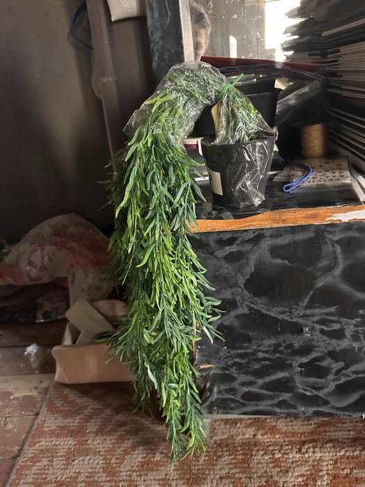 Свесающие цветы новые