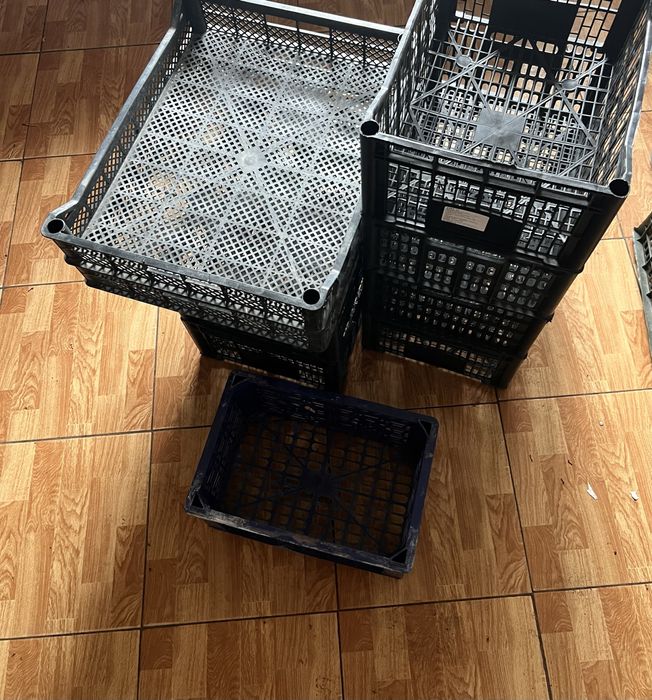 Тарра овощи посуда