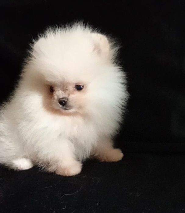 Счастье на ладошке