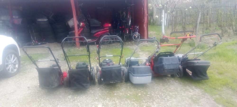 Mașini  de  tuns  gazon