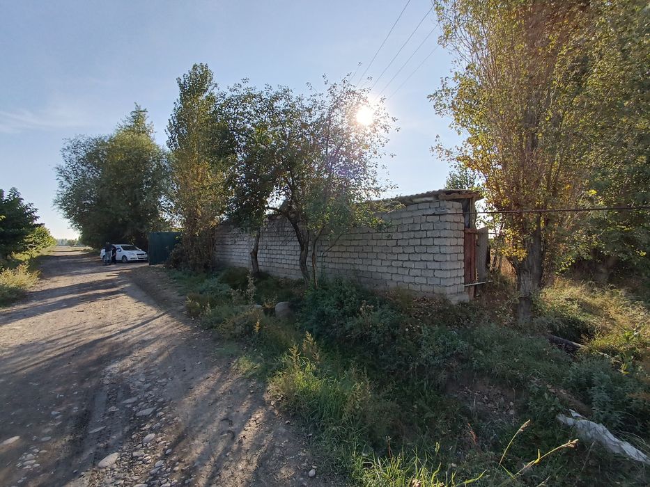 40 соток  (Янги Тошкент)