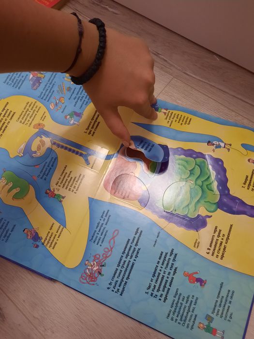 Интерактивна книжка " Човешкото тяло "