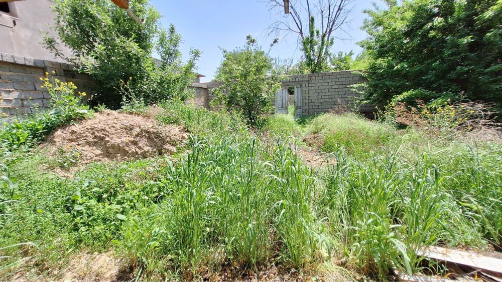 Nazarbek harakatda yer sotiladi 2.5 sotix