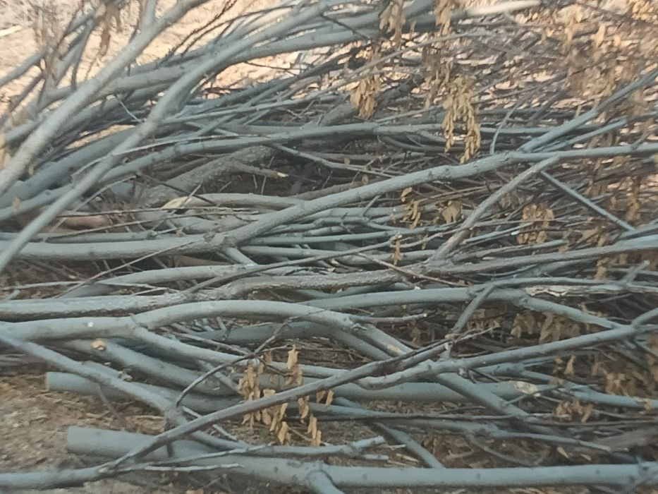 Отын бар 50мын.т