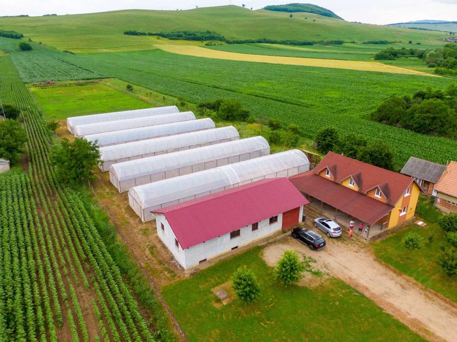 Spre vânzare casa și ferma