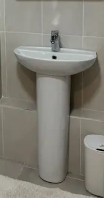 Раковина тюльпан