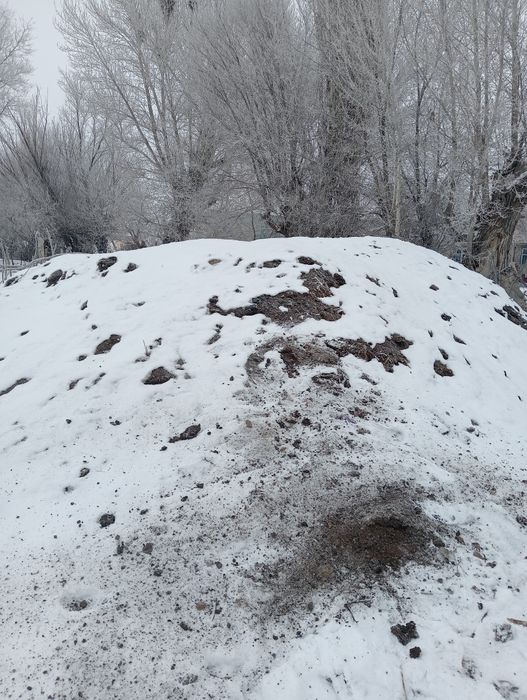 Прадойотса навоз