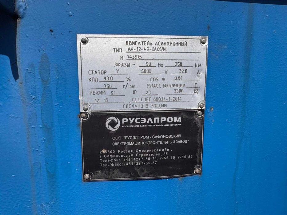 Электродвигатель А12-42-8, 250 кВт, 6000В IM1001