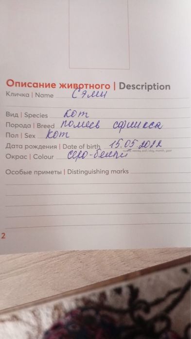 Канадский Сфинксс