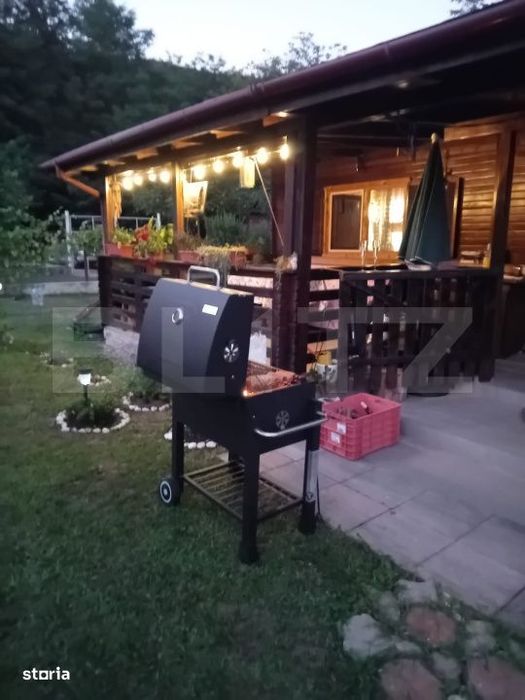 Cabana + teren generos, 60 mp utili, 30 km de Deva - Boz