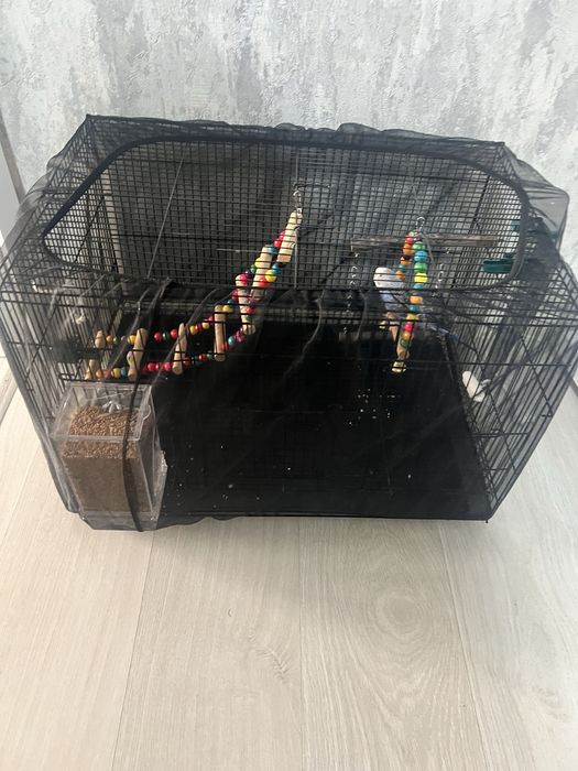 Продам клетку для птиц с попугаем