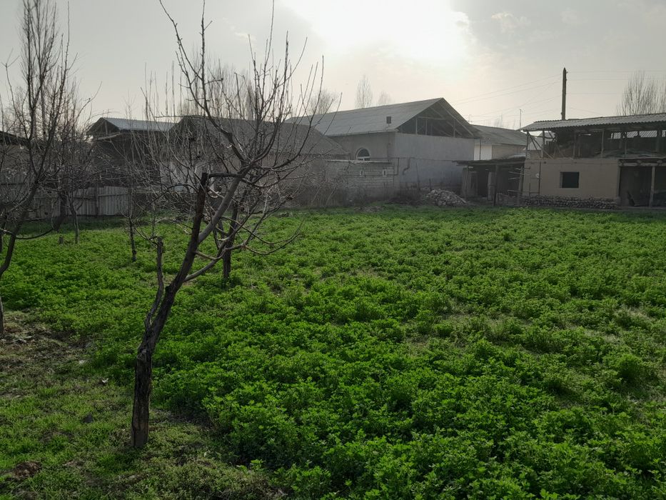 Участка сотилади 4,5 сотих