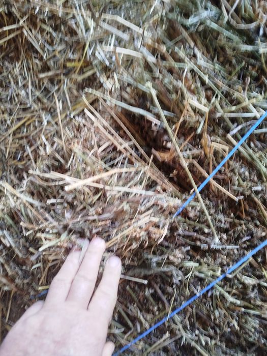 Fan și lucernă baloți