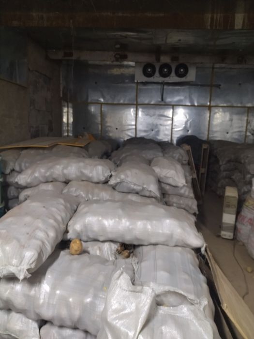 Картофель оптом.