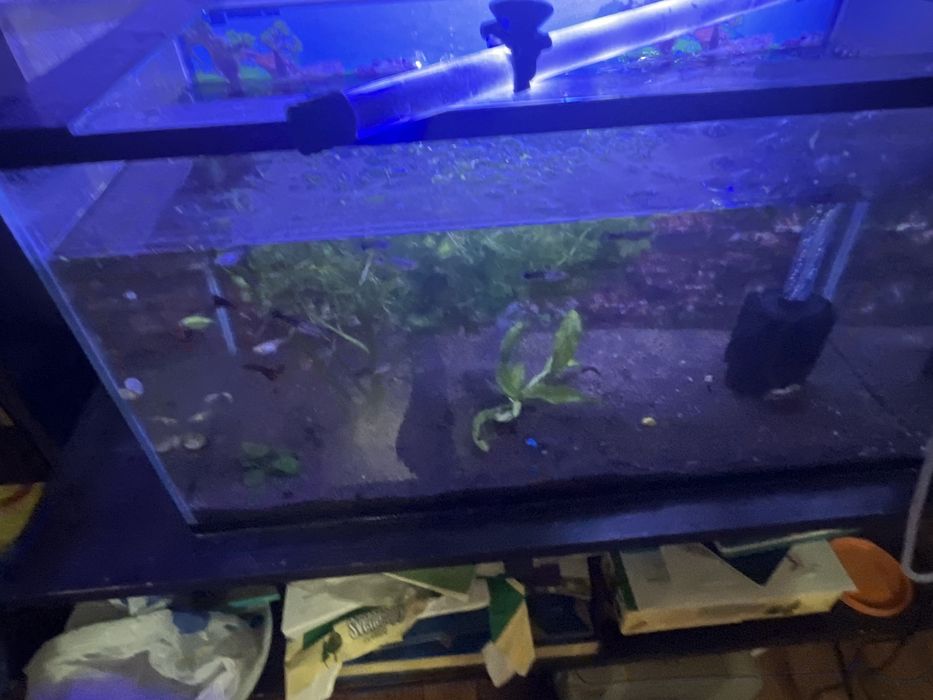 60литровый аквариум продается