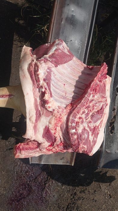 Продам домашнее мясо свинины.