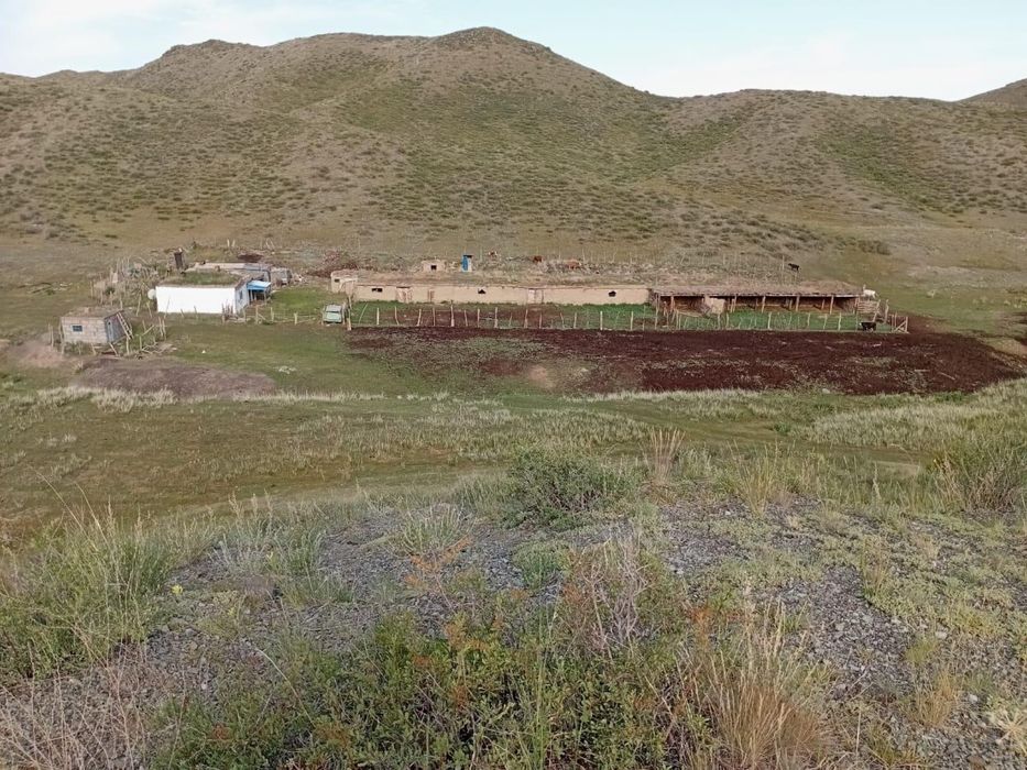 Фазенда (жер телімі) сатылады