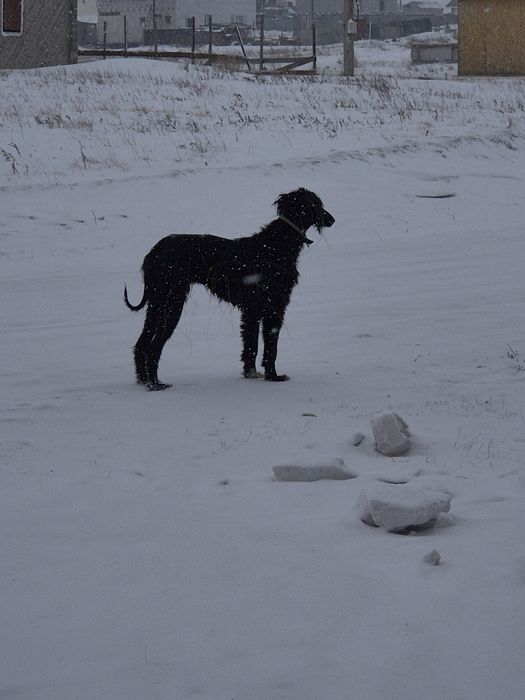 Продам срочно тазы