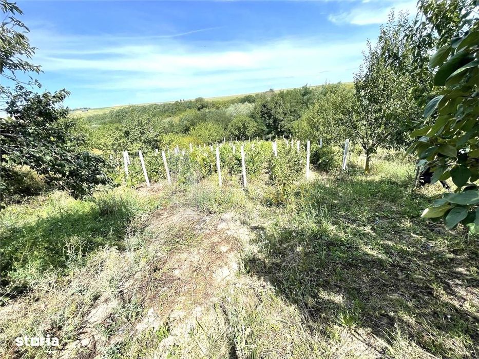 Casa de weekend la pret imbtatabil, zona deosebita
