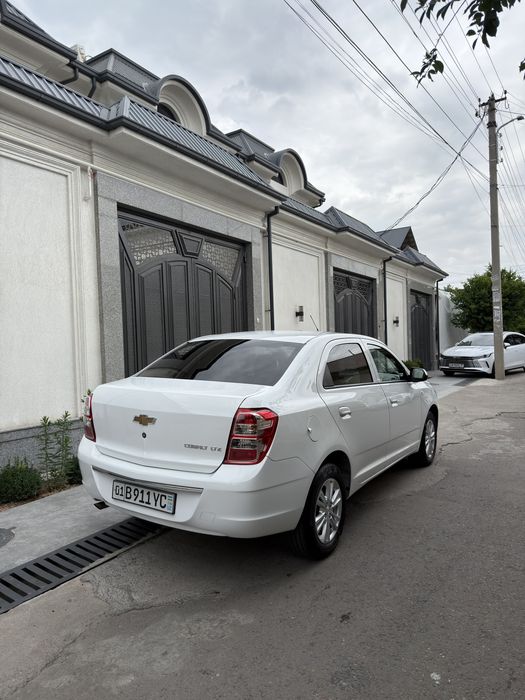 Cobalt 2025 Toza