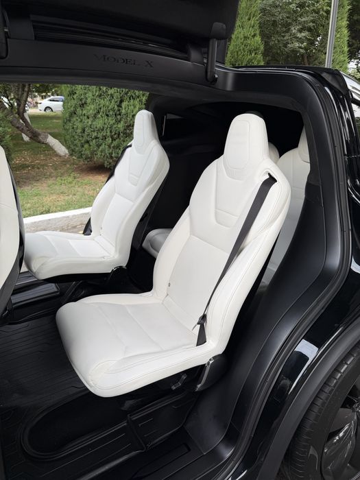 Tesla Model X Perfomance Duall Motor
