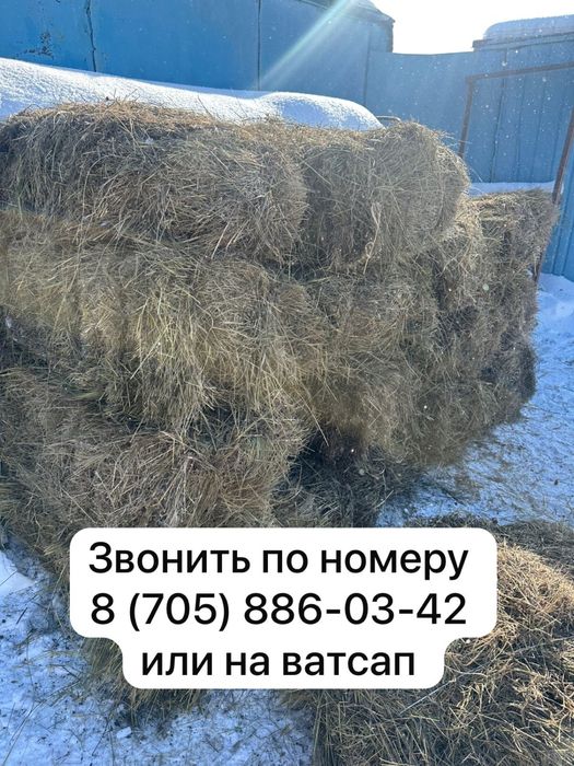 Сено тюки 25 кг