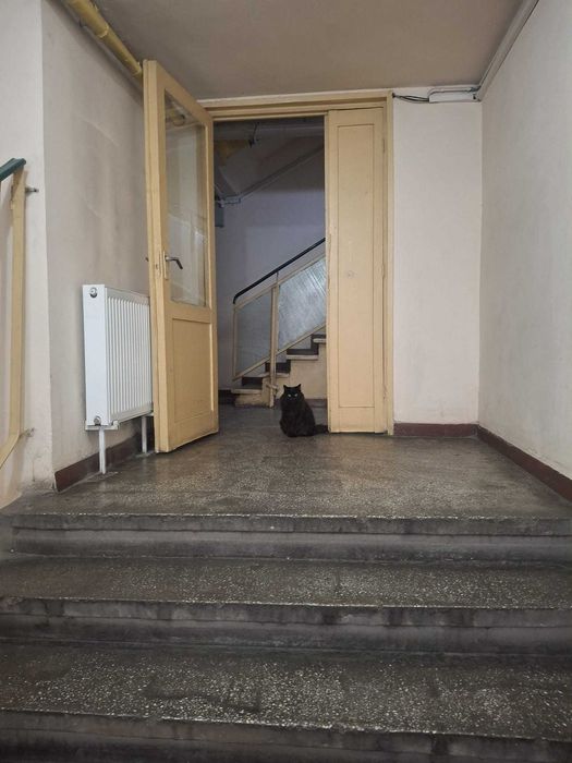 vanzare 3 camere Petre Ispirescu