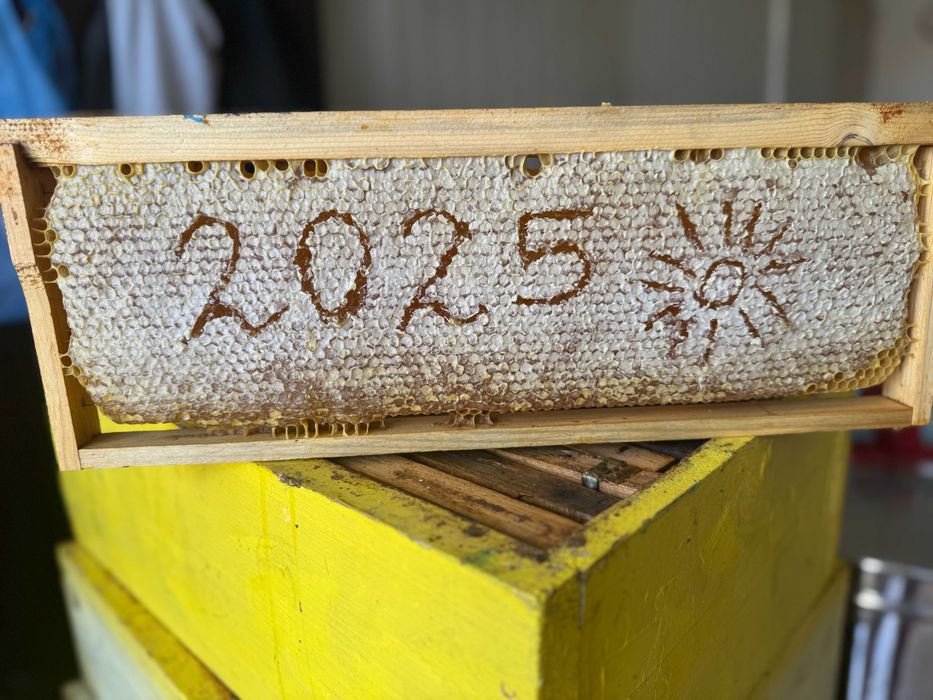 Натурален пчелен мед