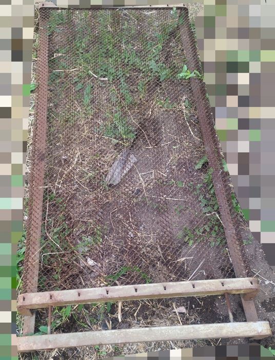Сетка панцирной кровати