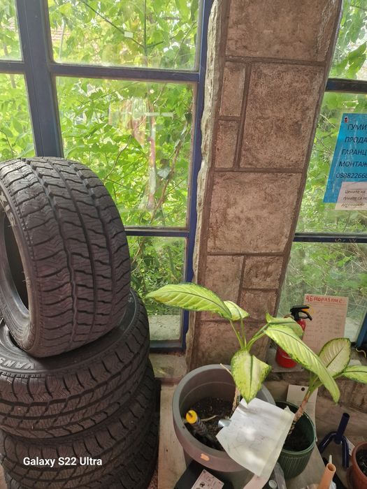 195 75 16С Maxxis Maxxis Всесезонни Замъка Ямбол