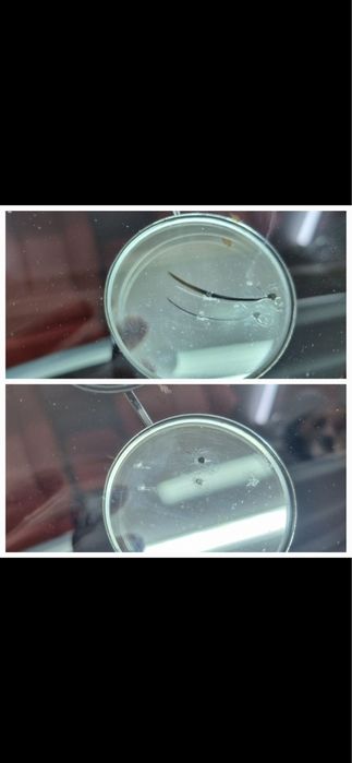 Reparatii parbrize ciobituri/fisuri la domiciliu