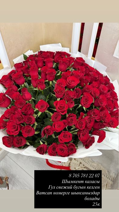 101 роза свежие город шымкент