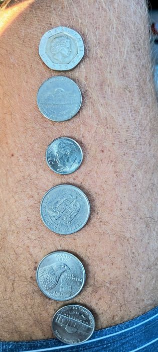Monezi vechi de guart dolar altele