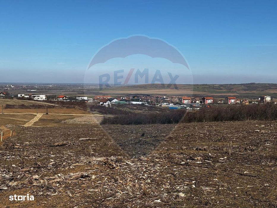 Teren de vânzare – Paleu, județul Bihor | 3 parcele a câte 618 mp