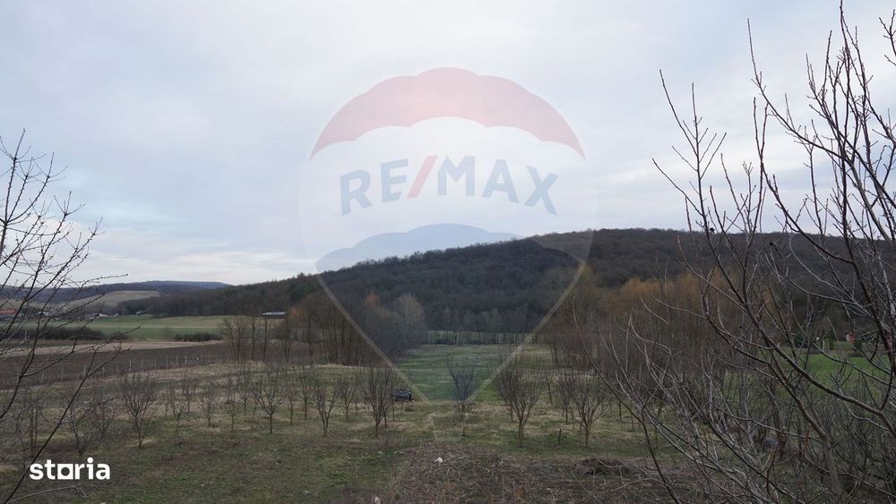 Teren de vanzare 517mp, sat Zapodia, com. Traian, jud Bacau
