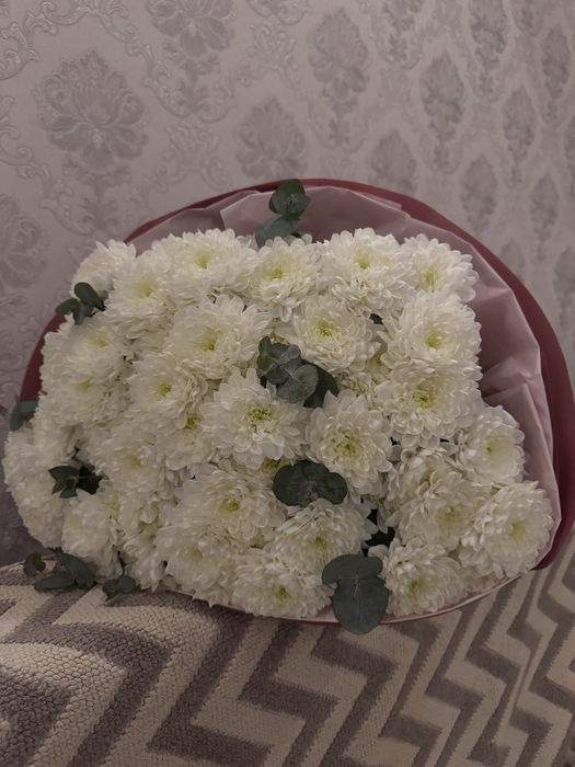 цветы, хризантема